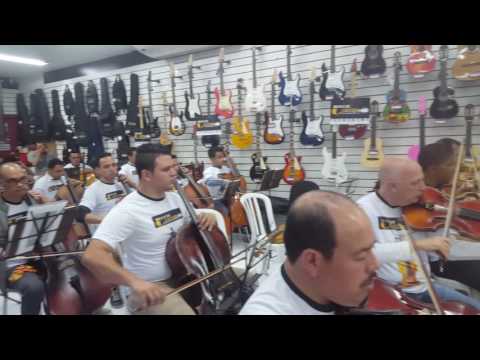 Encontro de cordas musical curitiba.