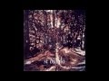 Saint Diablo- Phly (1998)