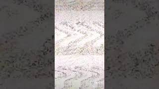 snoop dogg and russian pussy