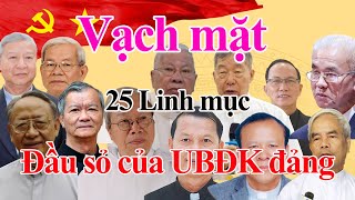 🔴Roll call of 25 leading priests in the Catholic Solidarity Committee destroying the Church for t...