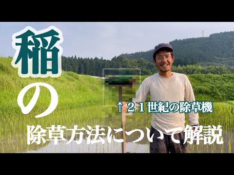 パイド除草機について詳しく解説