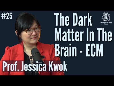 The Brain’s Dark Matter: Exploring the Extracellular Matrix | Prof. Jessica Kwok