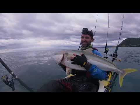 Live baiting with a Shimano Thunnus 8000 Baitrunner for king fish