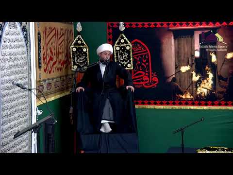 Domestic Abuse Awareness Program, November 17th, Speaker Sheikh Hamza Sodagar