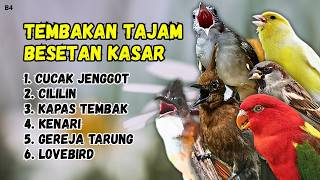 Download lagu 🔴 MUDAH MASUK DONGKRAK TEMBAKAN MEMATIKAN ‼️MASTERAN ISIAN MURAI BATU GACOR mp3 Download lagu 🔴 MUDAH MASUK DONGKRAK TEMBAKAN MEMATIKAN ‼️MASTERAN ISIAN MURAI BATU GACOR mp3