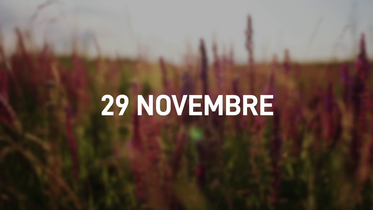 29 Novembre 2025 | Meditazione Parole di Vita