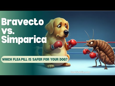 Bravecto vs. Simparica: Which Pill is Safer for Your Dog?