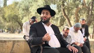 מצווה וחובה לעלות להר הבית | ר׳ אהרון שמחוב (ישיבת הר הבית) - התמונה מוצגת ישירות מתוך אתר האינטרנט יוטיוב. זכויות היוצרים בתמונה שייכות ליוצרה. קישור קרדיט למקור התוכן נמצא בתוך דף הסרטון