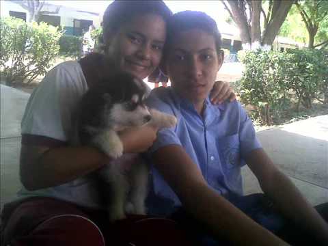 Nev Plays With Himself Zedd   Spectrum (Ft KDrew Remix) Launchpad S Cover