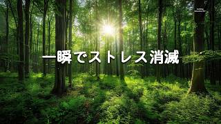 【一瞬でストレス消滅 ・100％広告なし】5分でストレスが消える癒しBGM - リラックス 音楽、自律神経を整える、 頑張りすぎたあなたへ