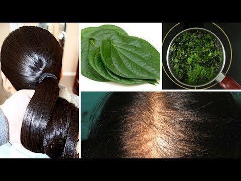 Ayurvedic Nuskha to Stop Hair fall immediately and grow new hair |100% effective | Rabia Skincare