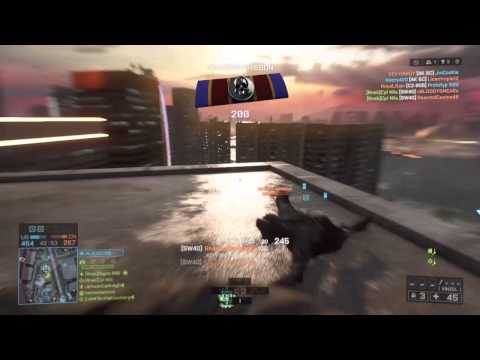 Battlefield 4 sw40+knife