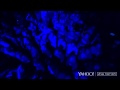 Linkin Park Live in Camden,NJ-Until it Breaks ...