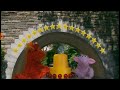 Sesame Street Season 43 Number Of The Day 17
