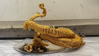 How to make the Pharaoh's Serpent (Mercury (II) Thiocyanate)