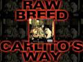 Raw Breed Carlito S Way