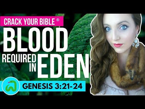 Why God requires death as payment for sin | Genesis 3:21-24