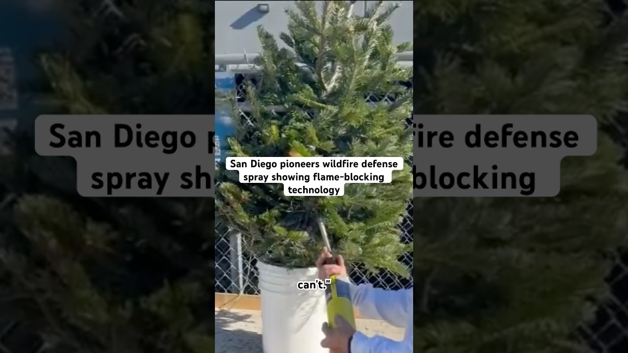 Fire officials say San Diego needs to protect their homes as wildfires blaze in Los Angeles.