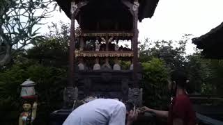 Download lagu MELUKAT DI MERAJAN mp3