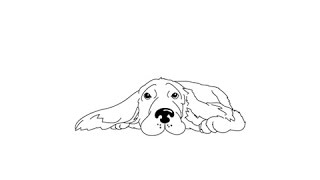 How to draw a Cocker Spaniel - Easy step-by-step drawing lessons for kids