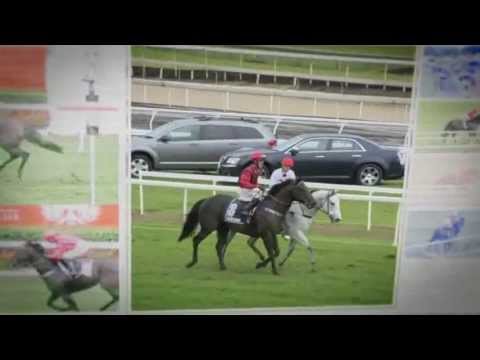 Your Song (Widden Stud) Commercial