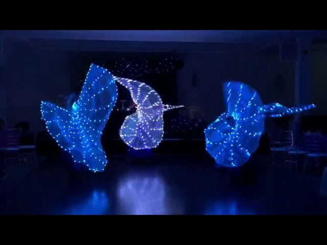 Vídeo relacionado con 1. Bufanda de baile con iluminación LED para espectáculos de escenario y danza del vientre con efectos de luz coloridos, bufanda para actuaciones de fiesta