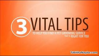 Pet Grooming