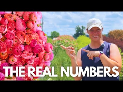 How I Made $6,180 Selling Ranunculus