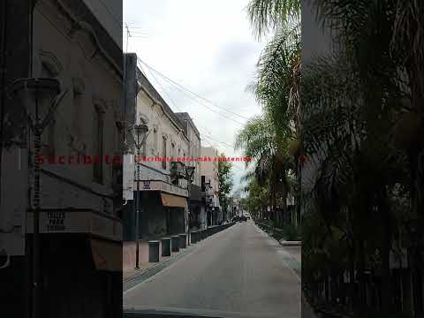 Calle Constitución hoy 🚦 | San Fernando en 60 segundos