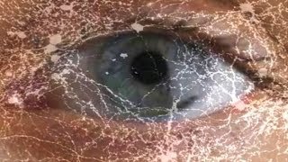 Your Motion-Sensing Eye Cells -- Mind Blow #79