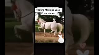 Download lagu Masya Allah Karomah Maulana Saad Hafidzahullah 🤲🤲 #Short#Jamaah Tabligh# mp3 Download lagu Masya Allah Karomah Maulana Saad Hafidzahullah 🤲🤲 #Short#Jamaah Tabligh# mp3