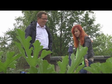 35/15 Grüne-Fraktion wirft Blick in den Plauener Stadtgarten