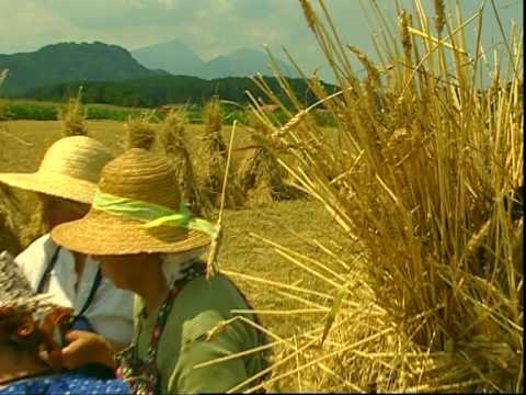 Genussregion Österreich Jauntaler Salami