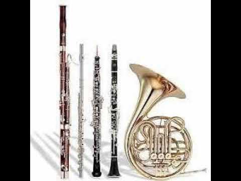 Mirjana Živković Wind Quintet 1962  (Belgrade Wind Quintet 1975)