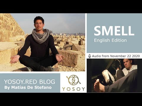 Matías De Stefano, Day 111 - SMELL - YOSOY.RED BLOG: Crown - Physical - Scorpio, Read by Carey 11/22