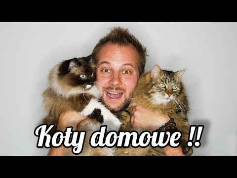 Leczenie koślawości stóp od-letniego dziecka Jak leczyć koślawego