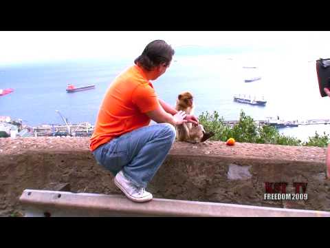 DJ FRANK TI-AYA & SWEET LITTLE MONKEY