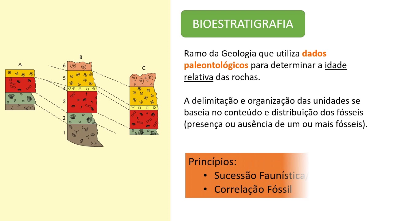 Aula 4 - Bioestratigrafia
