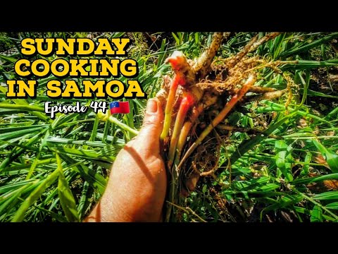 SUNDAY COOKING IN SAMOA | BEEF SOUP, LUAU, ROAST LAMB AND TURKEY TAIL & CHICKEN CURRY | EPISODE 44