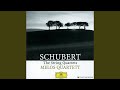 Schubert: String Quartet No. 7 in D Major, D. 94 - II. Andante con moto