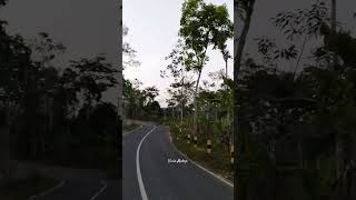 Download lagu JALAN TOKAWI NAWANGAN PACITAN #shorts #trending #viral mp3 Download lagu JALAN TOKAWI NAWANGAN PACITAN #shorts #trending #viral mp3