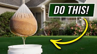 The FASTEST way to Grow Grass Seed!!