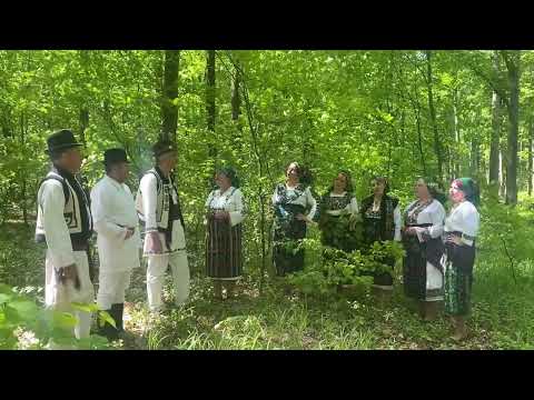 Bădiță sărutul tău-Ansamblul vocal "Fetele din Bucovina"
