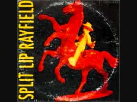 Split Lip Rayfield- Outlaw