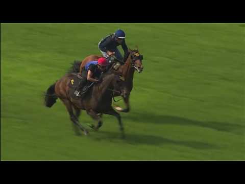 Lady Aurelia works at Keeneland in prep for Prix Morny (G1) – August 4, 2016