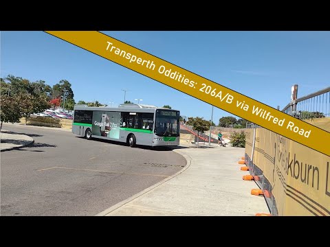 [WITHDRAWN] 206A/B via Wilfred Road - Transperth Oddities