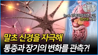 말초 신경을 자극해 통증 변화와 장기들의 상황을 관찰한다? (한국한의학연구원 이상훈 박사)