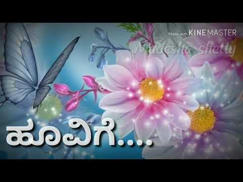 Hoovige thangali bedave video song