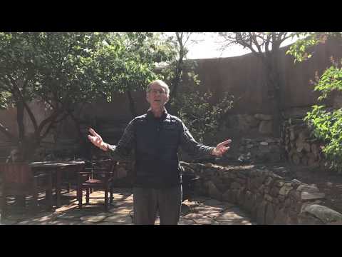 HOW TO..Start Your Day with Shamanic Attention