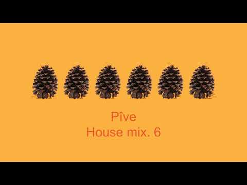Pîve - House mix. 6 ¦ Low Steppa ¦ Fatboy Slim ¦ Idris Elba ¦ Ninetoes ¦ Roland Clark & more